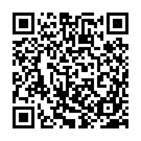 QR code for plate 2X 9267