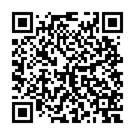 QR code for plate 2XB 704
