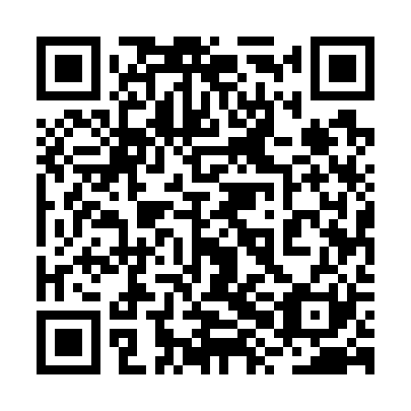 QR code for plate 2XE 721