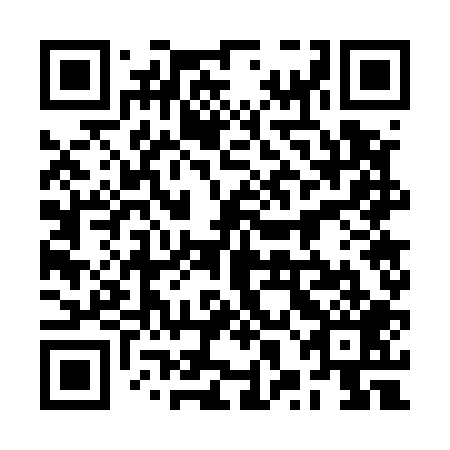 QR code for 2XG 509