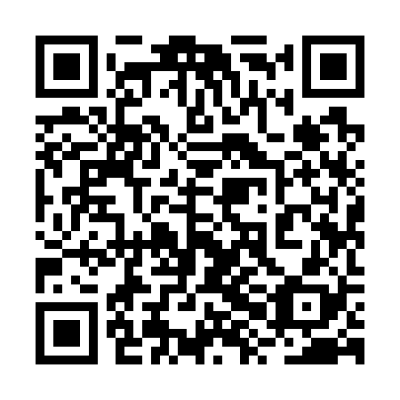 QR code for plate 2XI 728