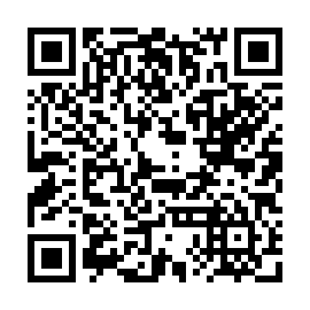 QR code for plate 2XL 385