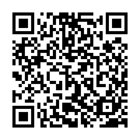 QR code for 2XQ520