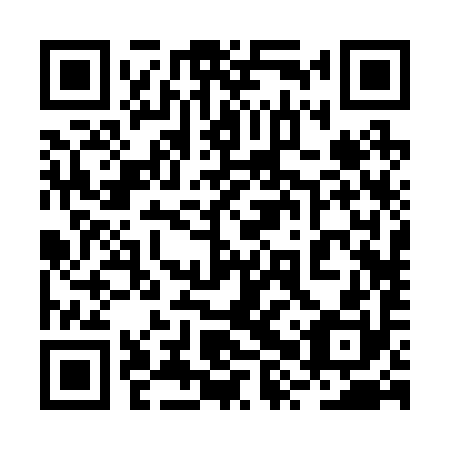 QR code for 2XR 290