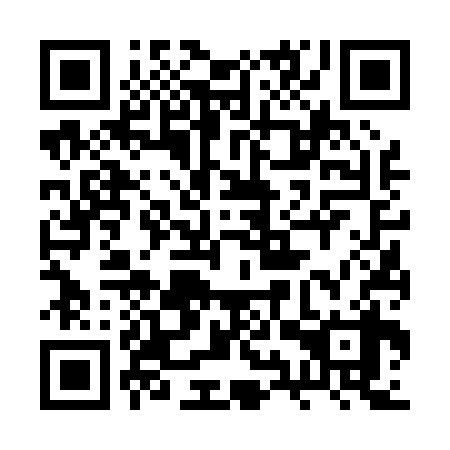QR code for plate 2YV 038