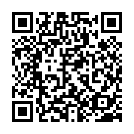 QR code for 2Z 9038