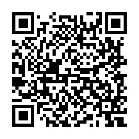 QR code for 2Z0995