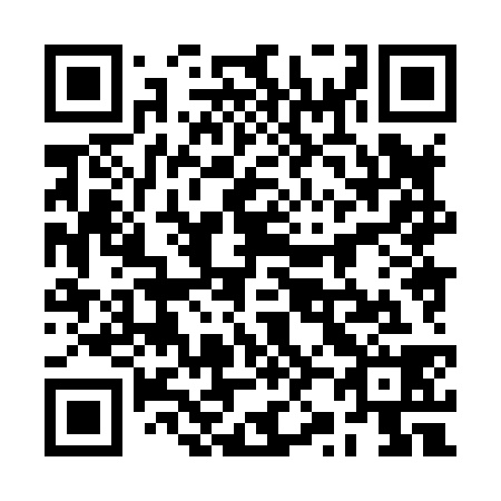 QR code for plate 2Z 8838