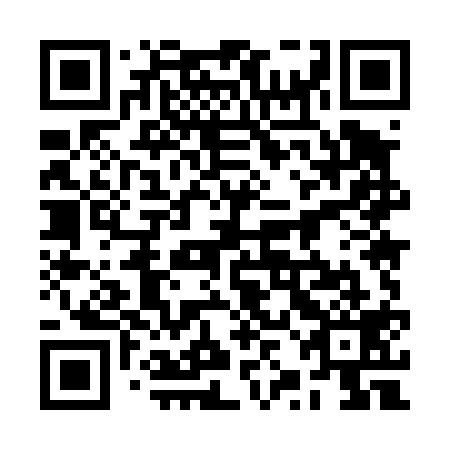 QR code for plate 2ZM 419