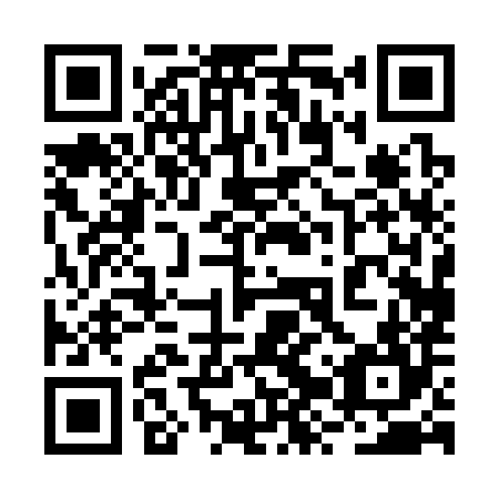 QR code for plate 2ZP 384