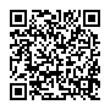 QR code for plate 2ZV 397
