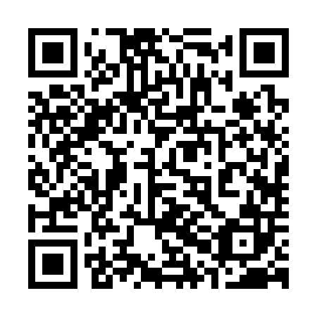 QR code for plate 30B 302