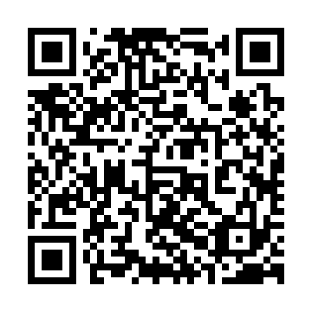 QR code for plate 30B 333
