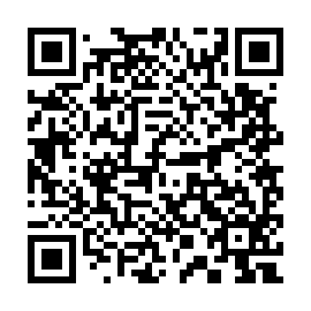 QR code for plate 30B 596