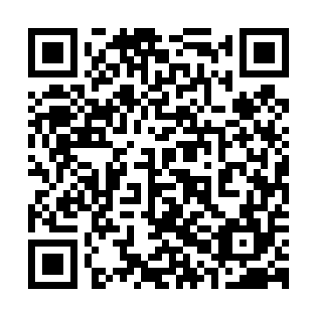 QR code for plate 30E 454