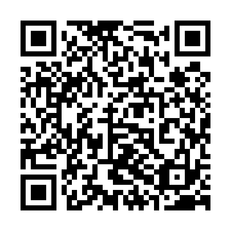 QR code for plate 30I 533