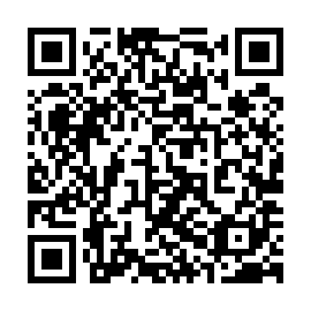 QR code for plate 30L 581