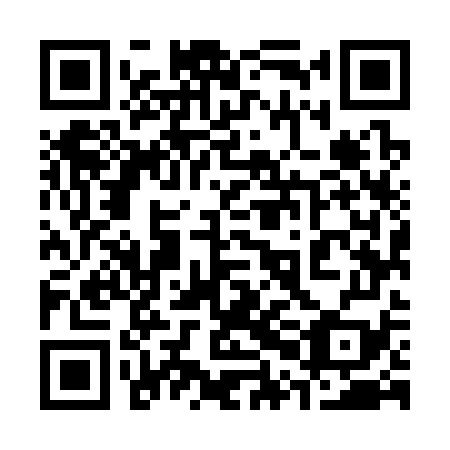 QR code for plate 30M 379