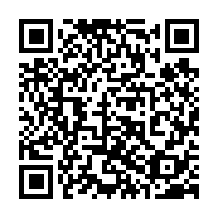 QR code for plate 30M 678