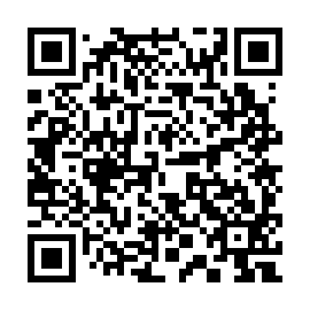 QR code for 30O 393