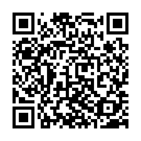 QR code for plate 30O 389