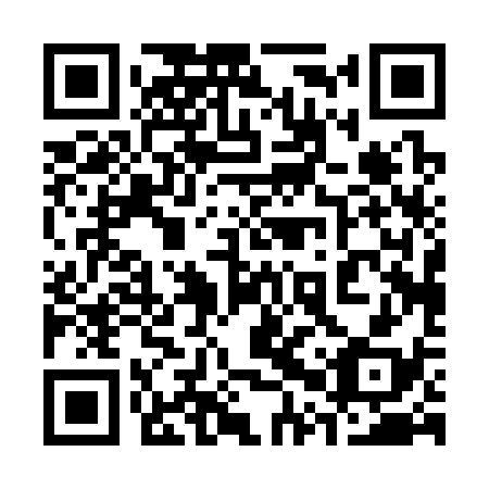QR code for 30P 338