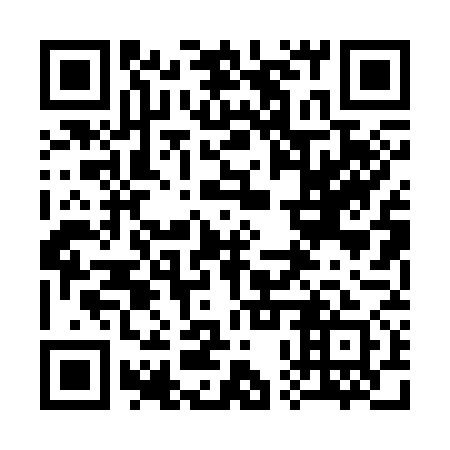 QR code for 30P 371