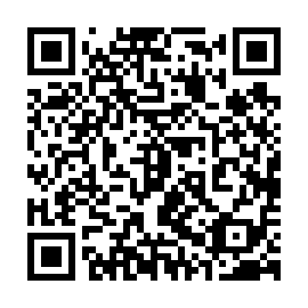 QR code for 30P 619