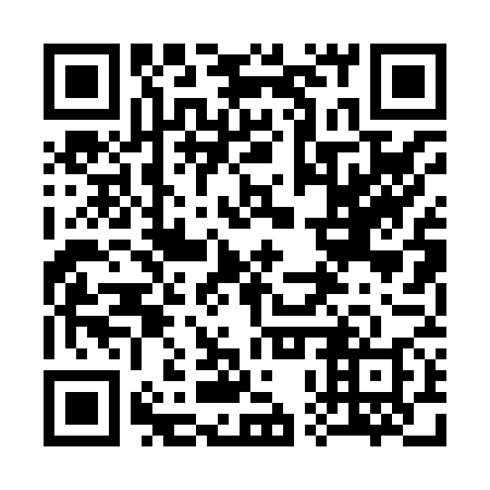QR code for 30P 878