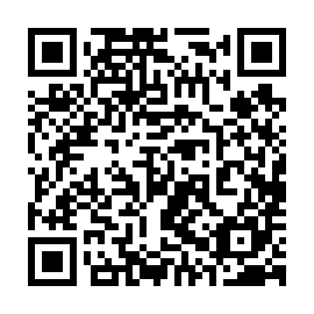 QR code for plate 30P 685