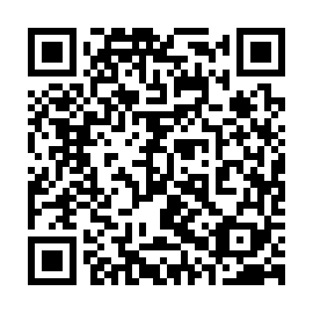 QR code for 30Q 369