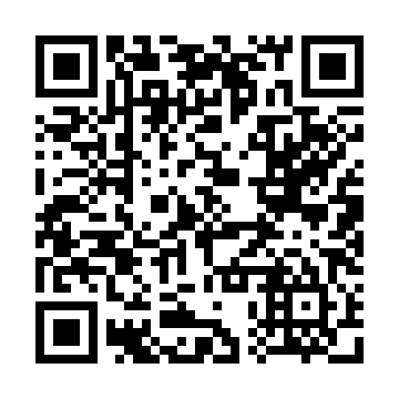 QR code for 30Q 385