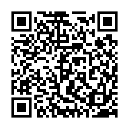 QR code for plate 30Q 733