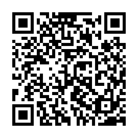 QR code for 30U 233