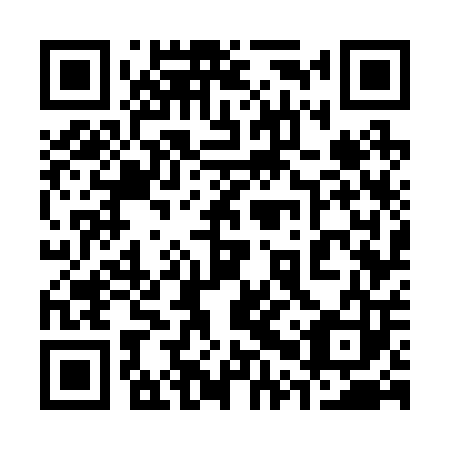 QR code for plate 30W 203