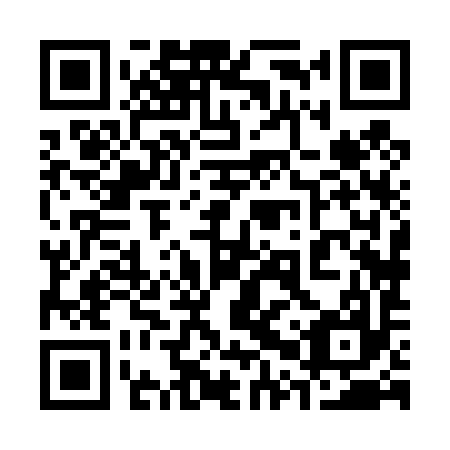 QR code for plate 30X 497