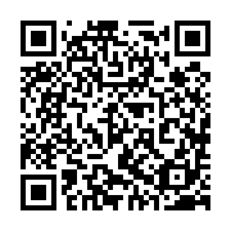 QR code for plate 30X 590