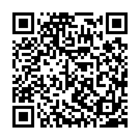 QR code for plate 30X 733