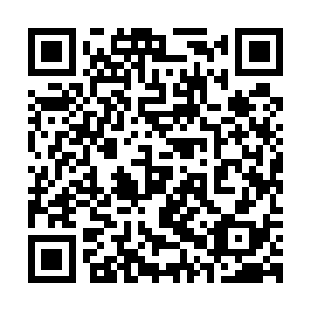 QR code for plate 30Y 538