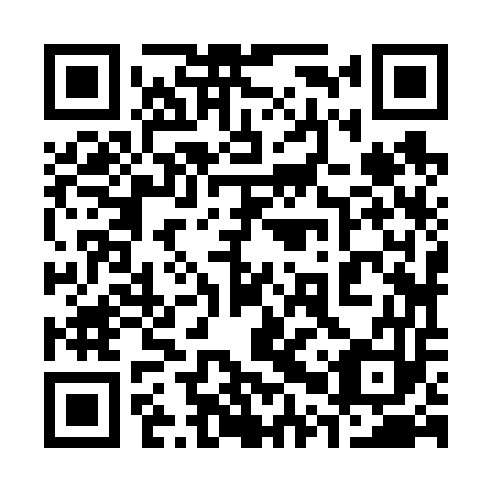 QR code for 30Z 653