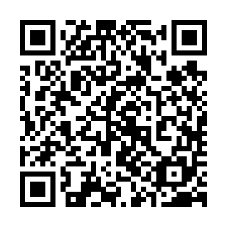 QR code for plate 31B 655