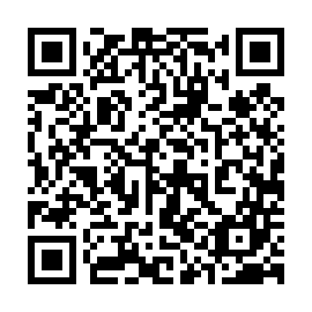 QR code for plate 31D 447