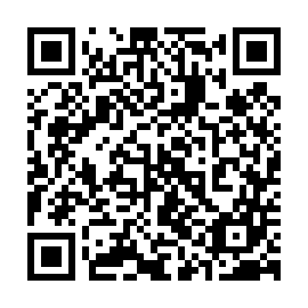 QR code for 31G447