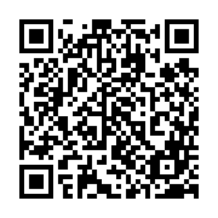 QR code for plate 31I 646