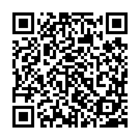 QR code for plate 31J 648