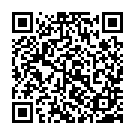 QR code for 31N 383