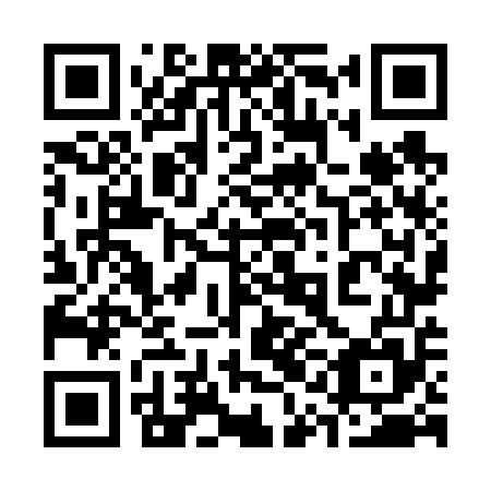 QR code for 31N 655