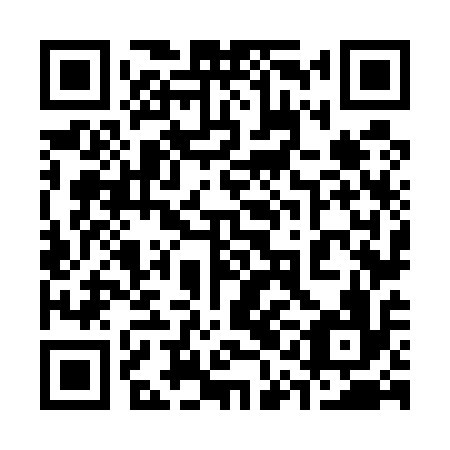QR code for plate 31N 516