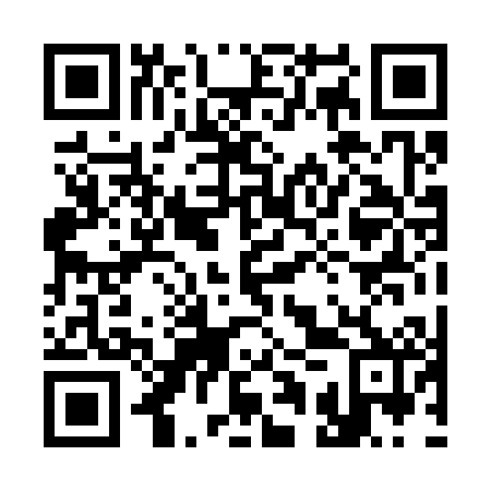 QR code for 31P302