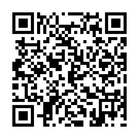 QR code for plate 31P 617